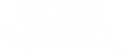 Logo DENDRO